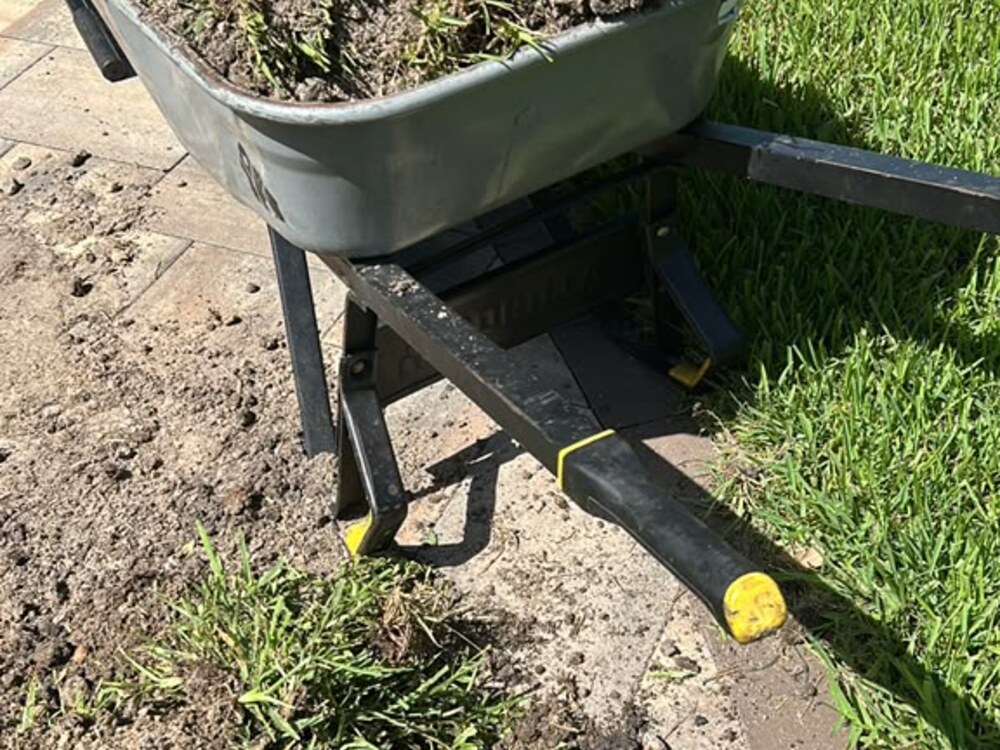 Limpieza de Jardin